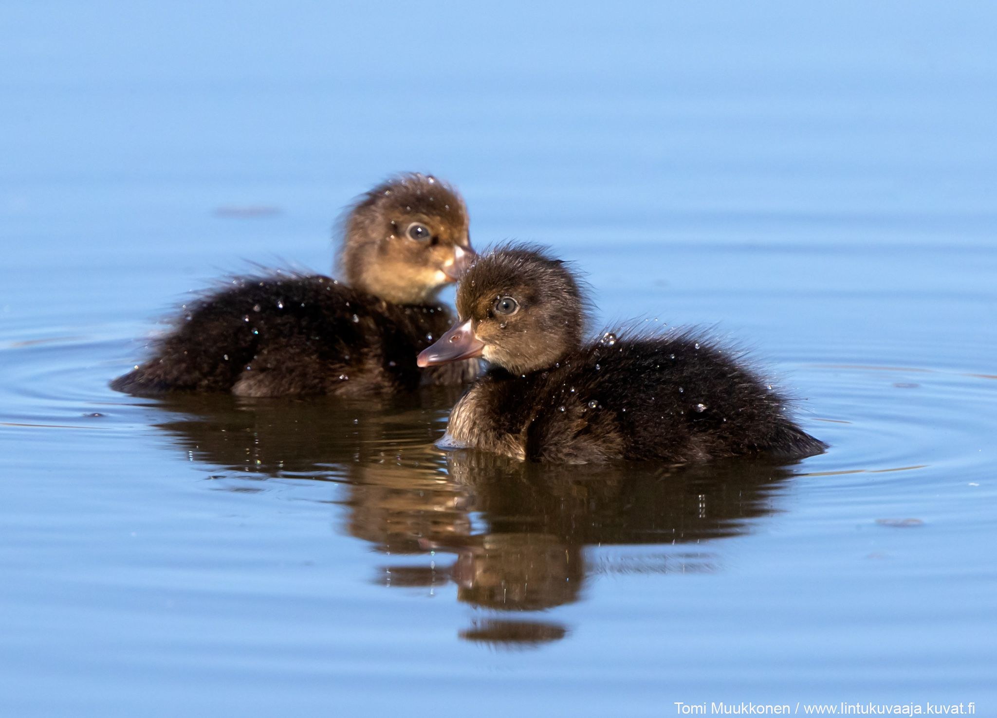 Jinsiy turizm Anjeles